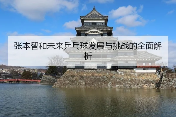 张本智和未来乒乓球发展与挑战的全面解析